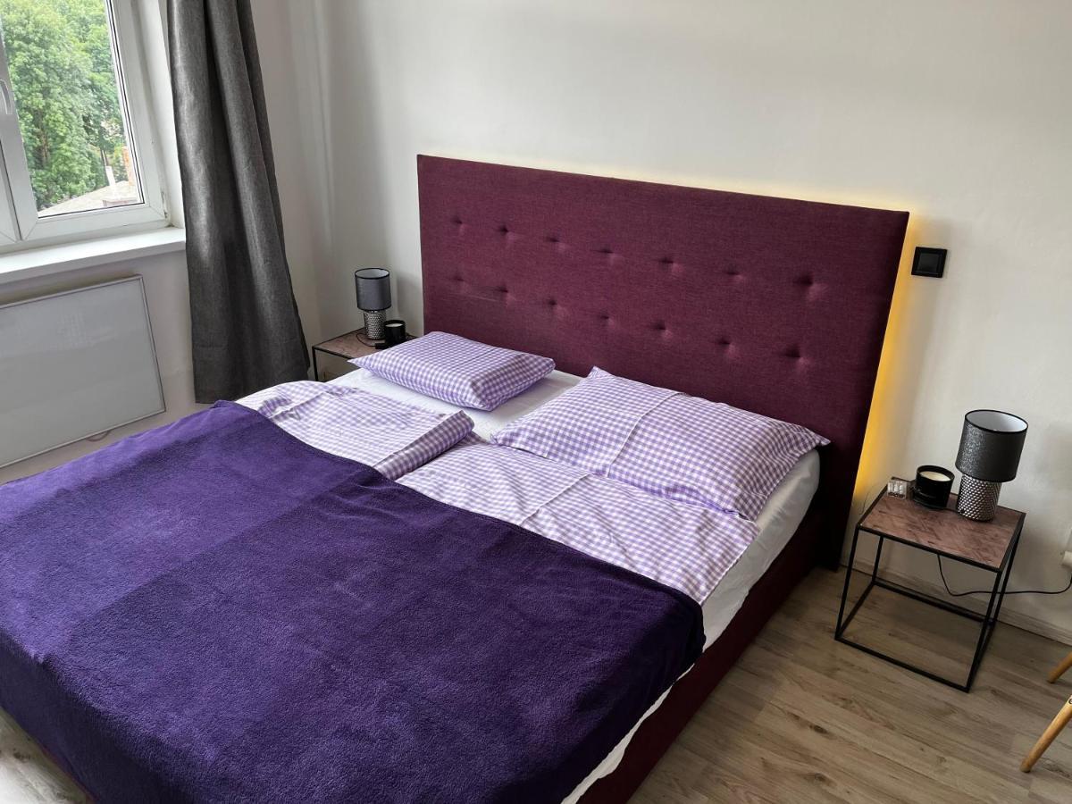 Large 3 Bedroom With Skyline View Apartment Karlovy Vary