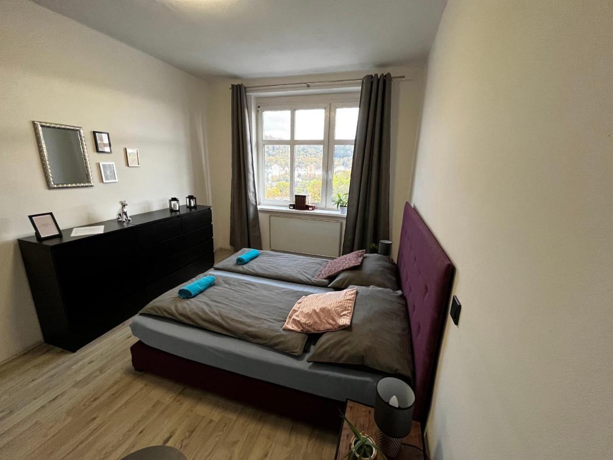 Large 3 Bedroom With Skyline View Apartment Karlovy Vary